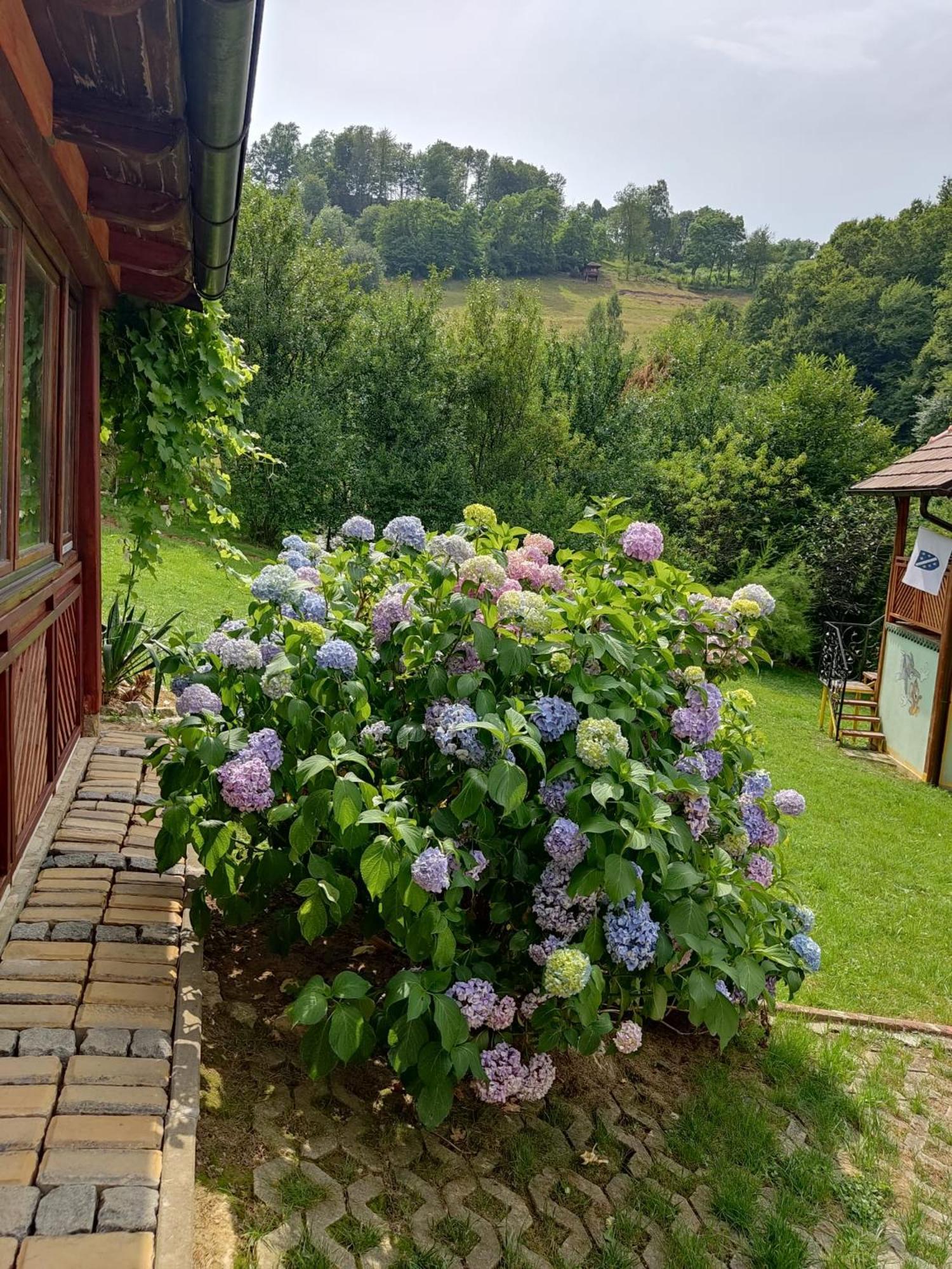 ויסוקו Holiday Home Pharaoh מראה חיצוני תמונה