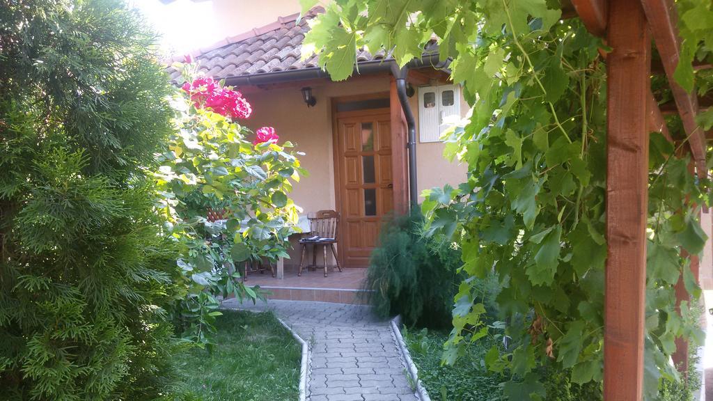 ויסוקו Holiday Home Pharaoh מראה חיצוני תמונה